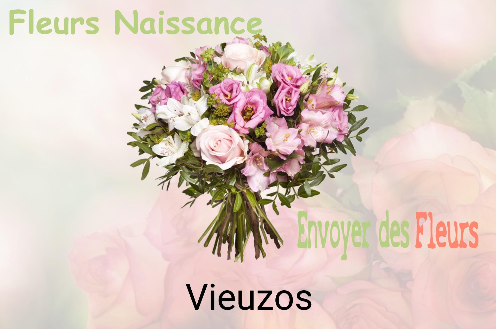 Bouquet de fleurs de naissance livré à Vieuzos
